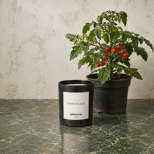Load image into Gallery viewer, Tomato Leaf Hand-Poured Candle 220g