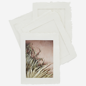 Paper pulp photo frames 
