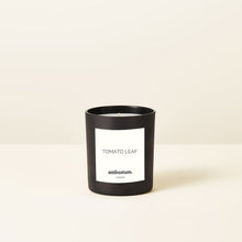 Load image into Gallery viewer, Tomato Leaf Hand-Poured Candle 220g

