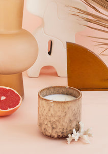Grapefruit & Mango Scented Ceramic Candle