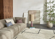Load image into Gallery viewer, Reversible Velvet &amp; Brush Stroke Cushion

